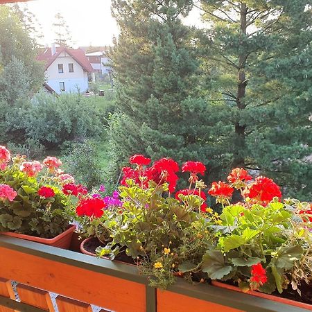 Chalet Chata Tereza By Interhome Stará Lesná 외부 사진