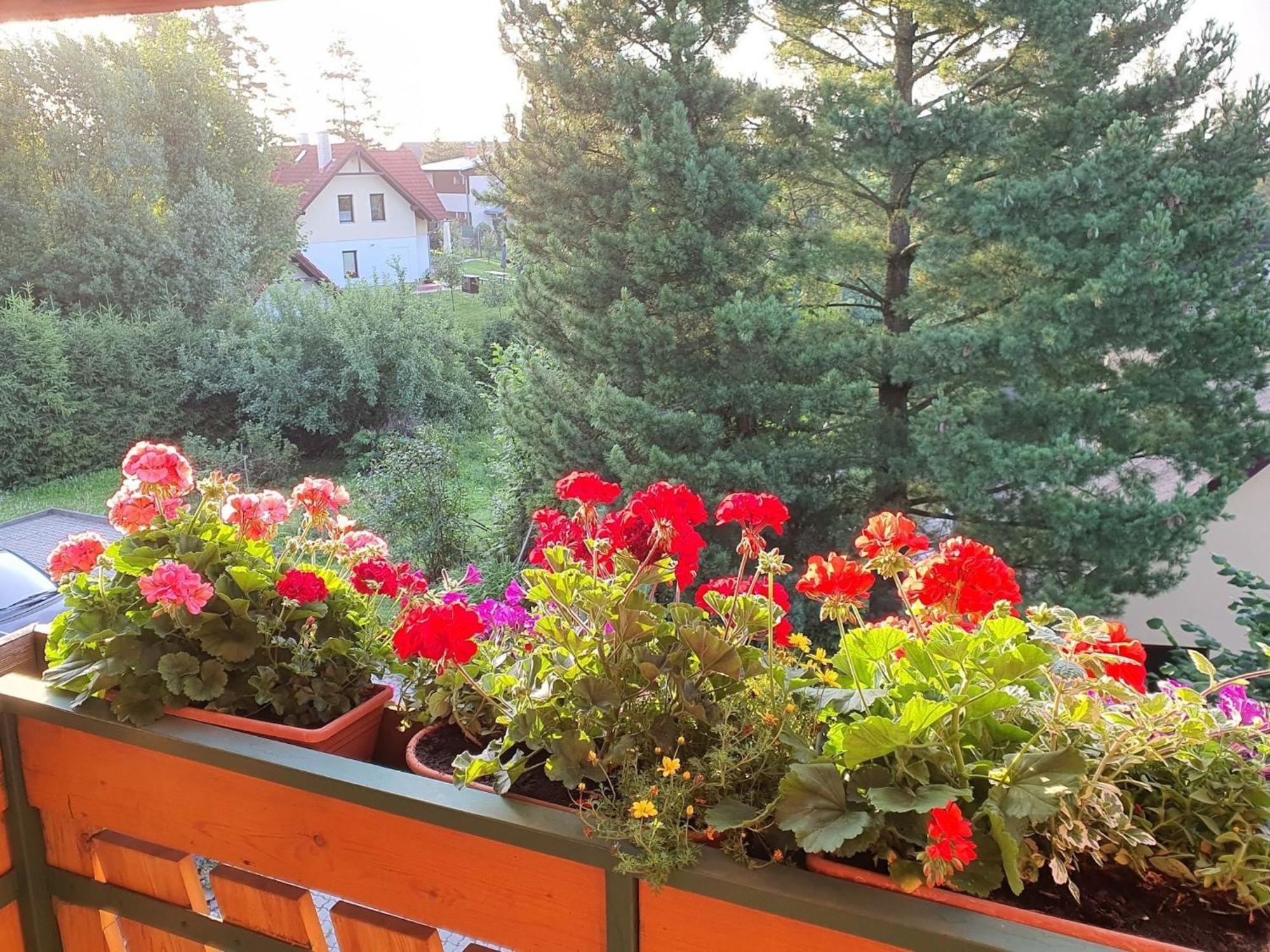 Chalet Chata Tereza By Interhome Stará Lesná 외부 사진